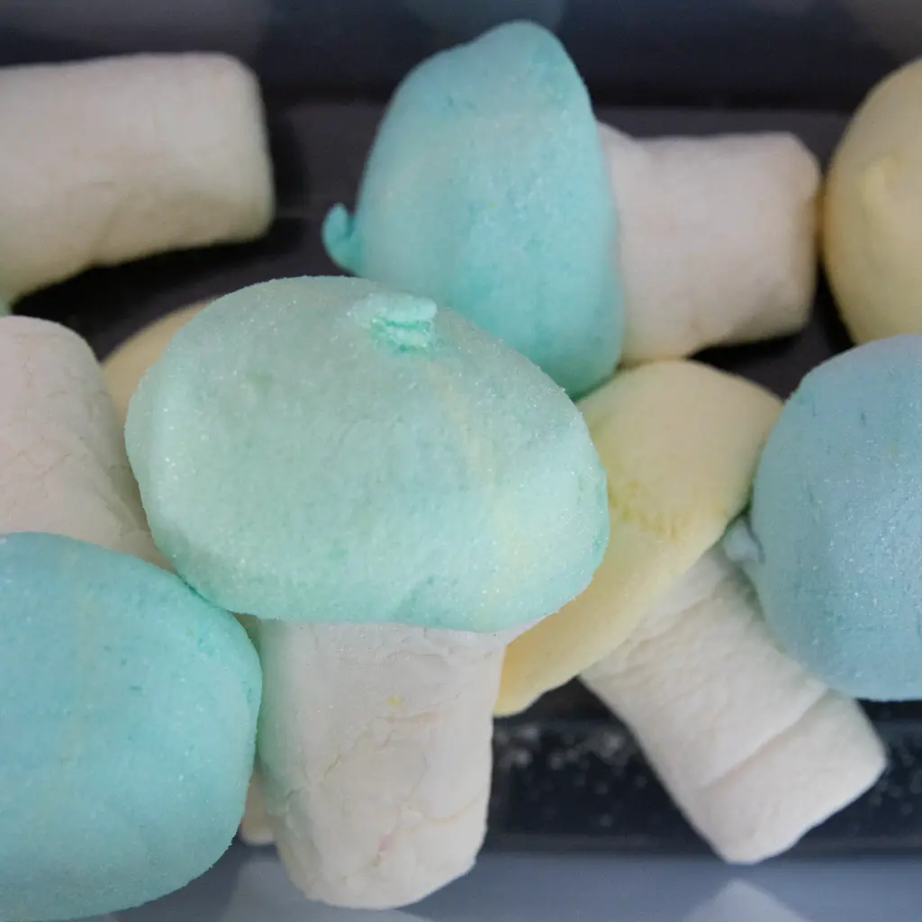 Champignon guimauve 50 gr x2