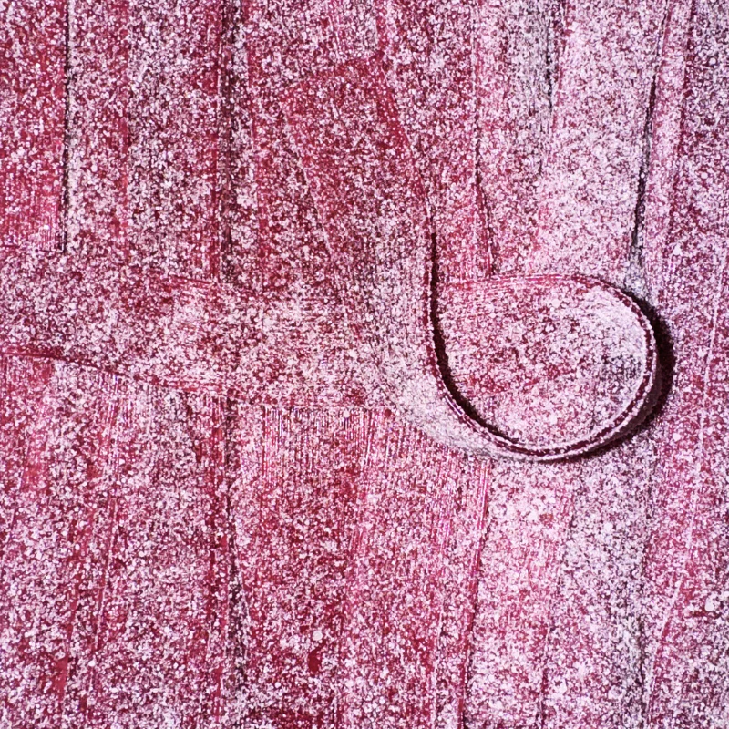 Bandos raisin sucrés 100G