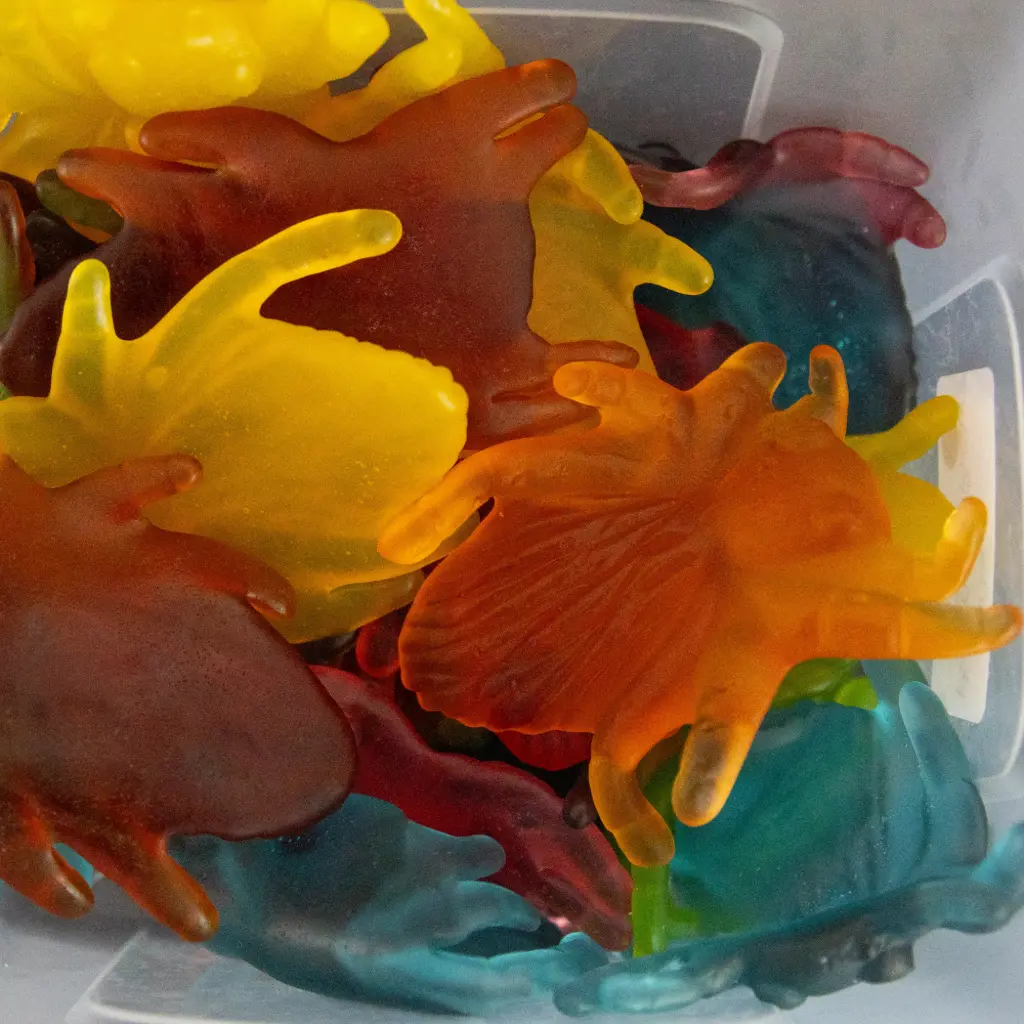 Maxi mygale X1 unité 