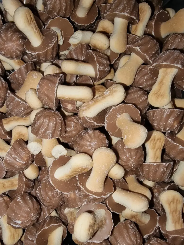 Champignons caramel chocolat X10 
