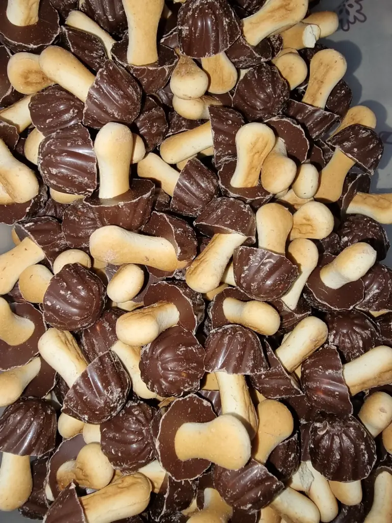 Champignons chocolat noir X10