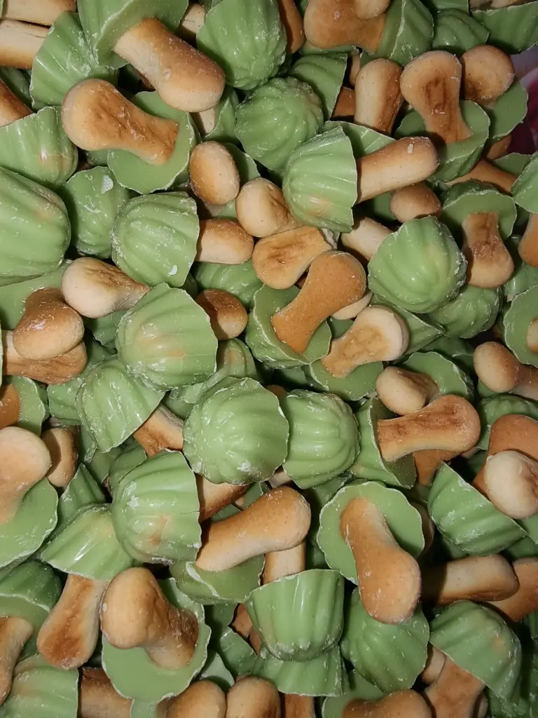 Champignons pistache X10 