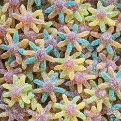 Octopus sucrées 100G