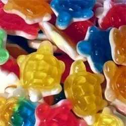 Tortues lisse 100G
