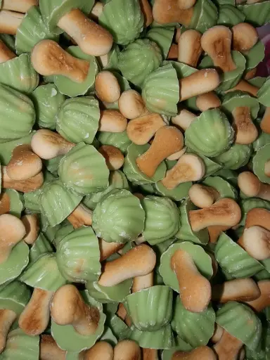 Champignons pistache X10 