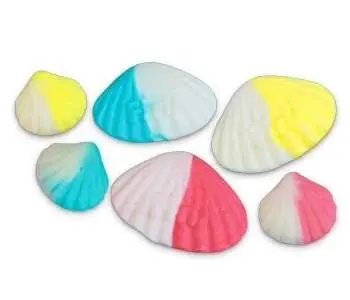 coquillages 100G